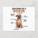 Recherche de chien boxer cartes postales Chiot