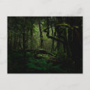 Search for fiordland postcards Landscape
