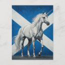 Recherche de drapeau écossais cartes postales Royaume uni