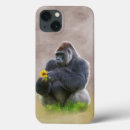 Recherche de jungle coques Singes