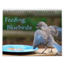 Search for bluebird calendars Wildlife