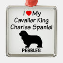 Recherche de cavalier king charles ornements Espagne