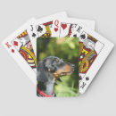 Search for dachshund playing cards Headshot