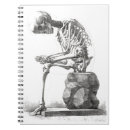 Search for human anatomy notebooks Skeleton