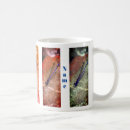 Recherche de mouches tasses Nature