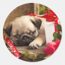 Search for pug birthday stickers Adorable