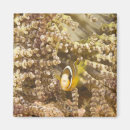 Recherche de animaux sous marins magnets Animaux dans le sauvage