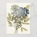 Search for botanical study postcards Leaves