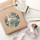 Recherche de rackham stickers Imaginaire