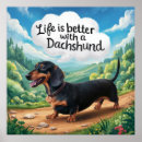 Search for womens golf posters Dachshund bumper stikers