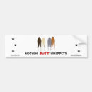 Search for whippet bumper stickers Pets