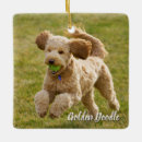 Recherche de doodle ornaments Chiot