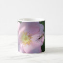 Search for wild rose mugs Blossom