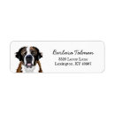 Search for saint bernard return address labels Dog