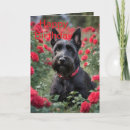 Search for dog rose birthday cards Roses