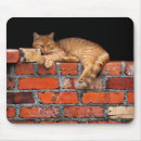Search for bricks mousepads Orange
