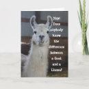 Search for funny llama birthday cards Humour
