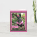 Search for scottish terrier cards Animal