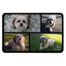 Recherche de chiens et chats magnets Image