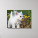 Search for baby canvas prints Terrier