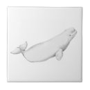 Search for whale tiles Illustration