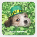 Search for cute irish stickers Happy st patrick's day