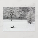 Recherche de banc cartes postales Neige