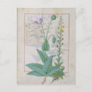 Recherche de testard cartes postales Guérison