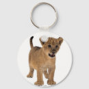 Search for lion photo keychains Cats