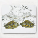 Search for turtle shell mousepads Reptiles