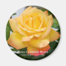 Recherche de rosas Fleur