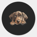 Search for father of twins stickers Funny