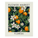 Search for orange blossom posters Botanical illustration