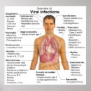 Search for infect Disease