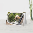 Recherche de labrador vœux cartes Puppy