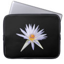 Search for isolated electronics Black