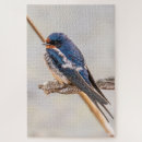 Recherche de hirondelles puzzles Oiseau