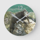 Recherche de iguane horloges Tropical