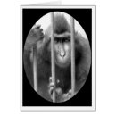 Search for primats Monkey