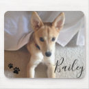 Recherche de pawprint Nom