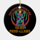 Search for physics ornaments Education