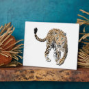 Recherche de animaux plaques Chat