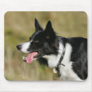Search for headshot mousepads Collie border