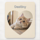 Recherche de dessin chat tapis souris Amoureux des chats
