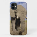 Search for elephant trunk cases Mammal