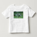 Search for dendrobates tshirts Colourful