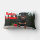 Search for happy birthday pillows Dog