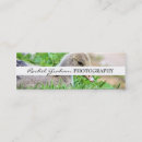 Search for wildlife business cards Photography