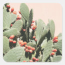 Search for prickly pear cactus stickers Plant