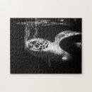 Recherche de tortues puzzles Sous la mer